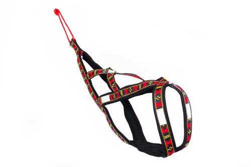 SLED harness