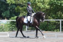DRESSAGE saddle pad - low padding (3)