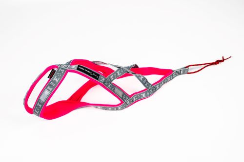 RUN LONG harness - LIMITED EDITION