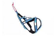 SLED harness