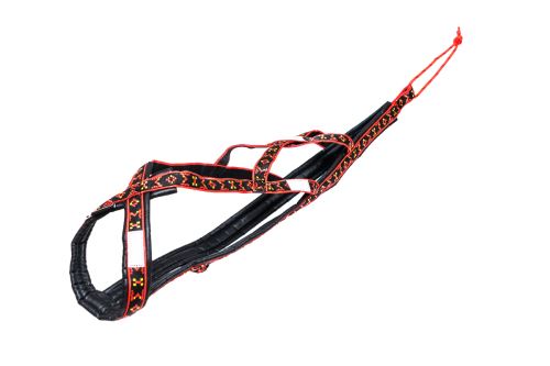 postroj SIBERIAN RACE