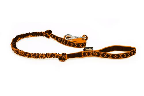 LEASH with ABSORBER