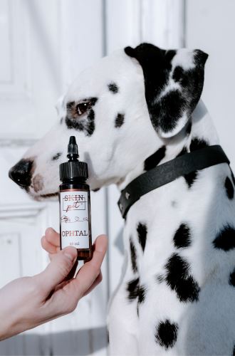 Eye drops SkinPET® Ophtal
