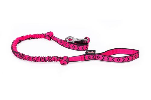 LEASH with ABSORBER