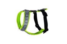 RICCO harness