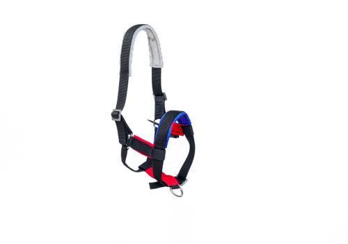 STABLE halter for FOAL
