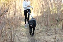 SLED harness (4)