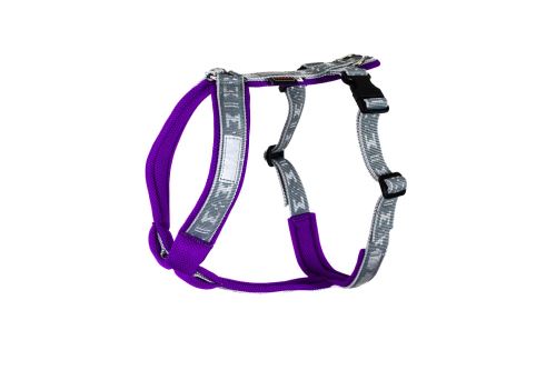 SMART harness