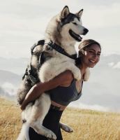 SLED harness (4)