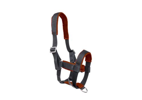 STABLE halter for FOAL