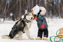 SLED harness (5)