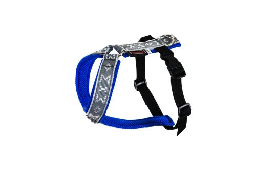 RICCO harness