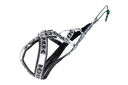 LIGHT WEIGHT harness